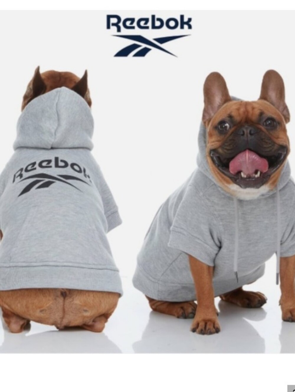 Reebok Gray Medium Cotton Dog Hoodie Sweatshirt Shirt - Picture 4 of 7